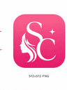 StyleConnect